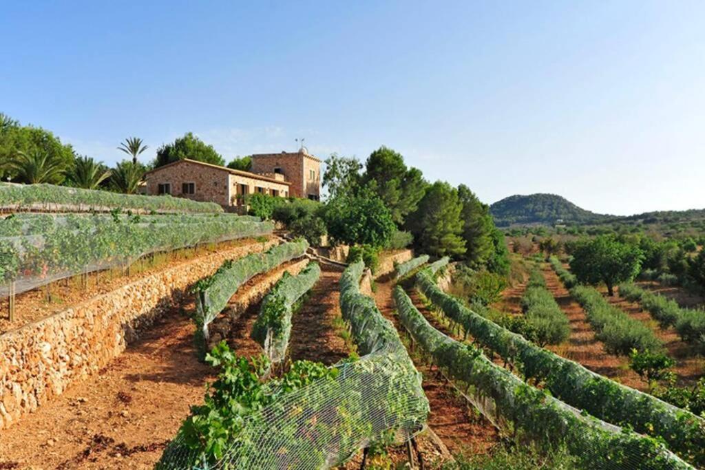 Es Castell De Ca N'Alou De Ses Cases Noves S'Horta Exterior foto